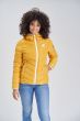 Sporty kort vinterjakke - Gul